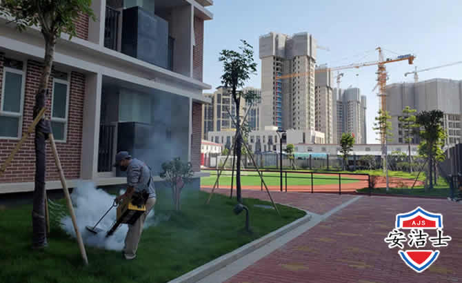 路桥区工厂工地除白蚁