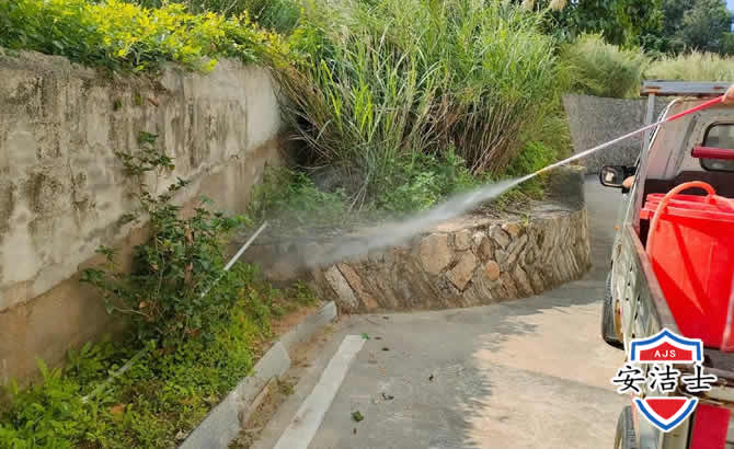 路桥区道路堤坝白蚁防治