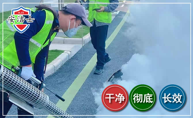 路桥区杀虫防疫现场